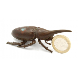 Japanese copper-bronze tenpai 137 rhino-beetle view 2