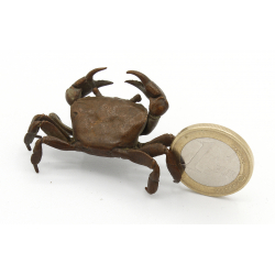 Japanese copper-bronze tenpai 143 crab view 2