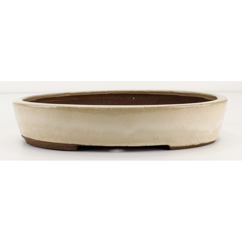 Bonsai pot JTAE108 EJIRI TAIZAN