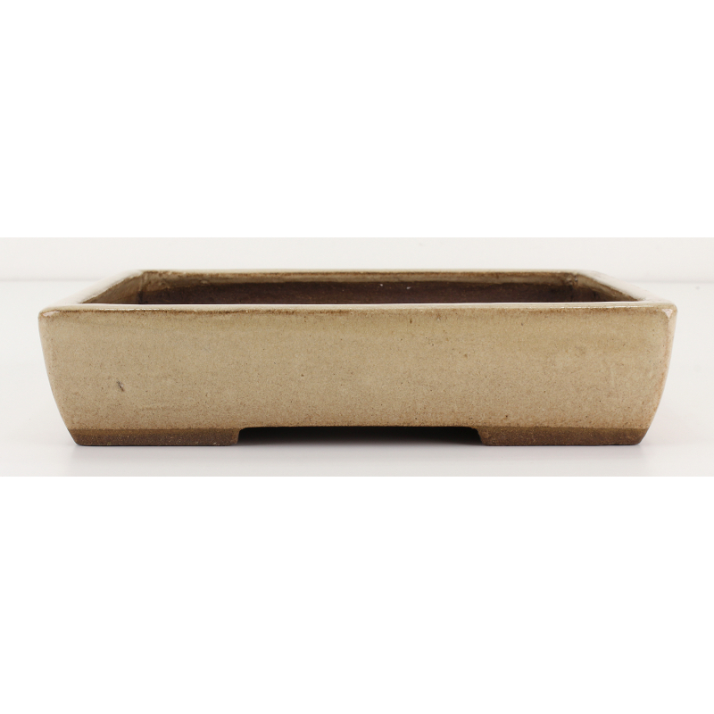 Bonsai pot JTAE103 EJIRI TAIZAN