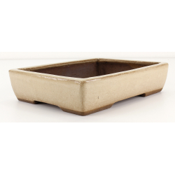 Bonsai pot JTAE103 EJIRI TAIZAN view 2