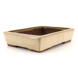 Bonsai pot JTAE102 EJIRI TAIZAN view 2