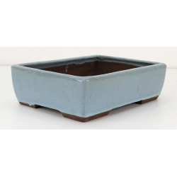 Bonsai pot JTAE104 EJIRI TAIZAN view 2