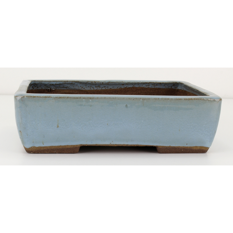 Bonsai pot JTAE105 EJIRI TAIZAN