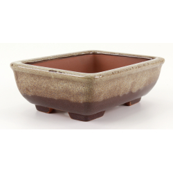 Bonsai pot CCH656 SHIWAN XENJI view 2