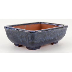 Bonsai pot CCH657 SHIWAN XENJI view 2