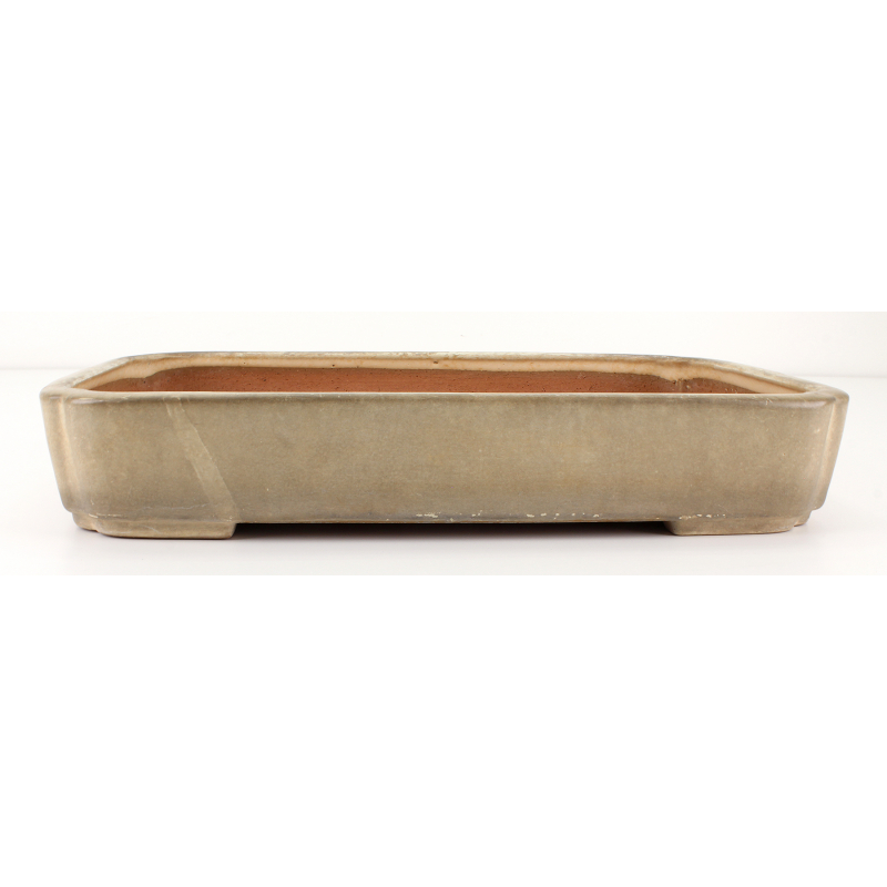 Bonsai pot JTA6407 YAMAFUSA TAKEHIKO