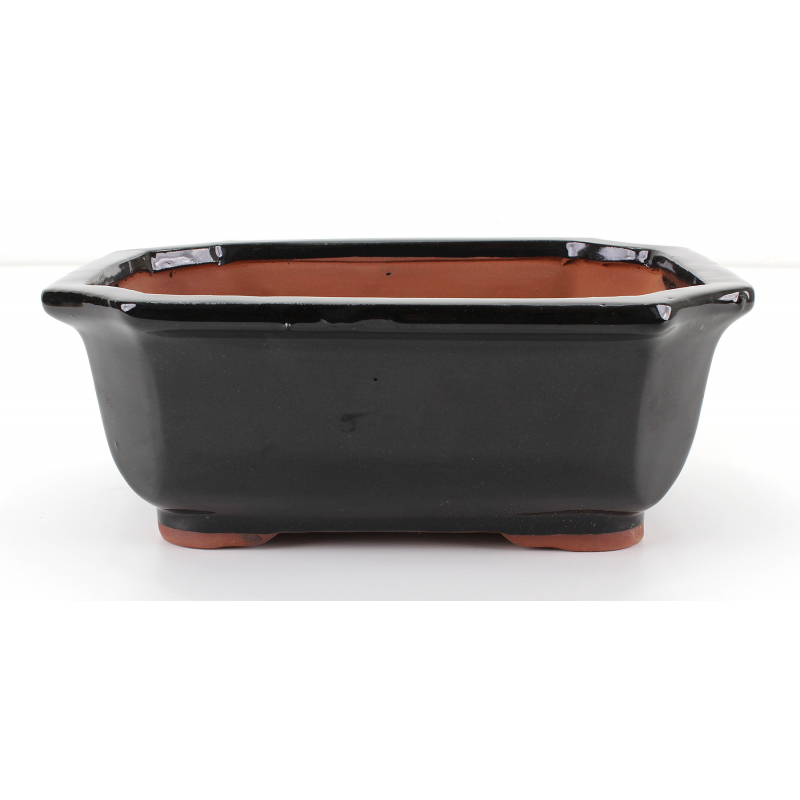 Bonsai pot GAS102-5N