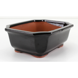 Bonsai pot GAS102-5N view 2