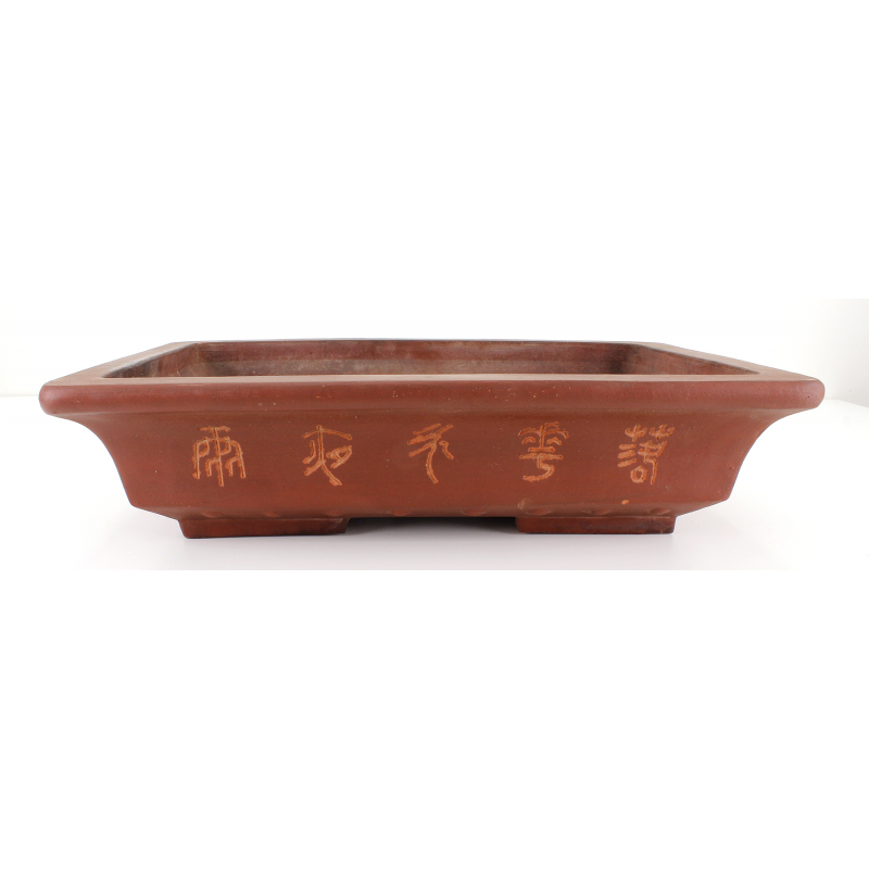 Bonsai pot JTA8116 IZUMI-YA ZENIGO