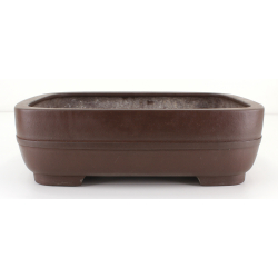 Bonsai pot JTA8114 YAMAAKI TOSHIO