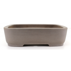 Bonsai pot JTA8113 KISEN