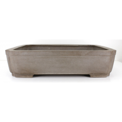 Bonsai pot JTA8148 SEIZAN MAKOTO