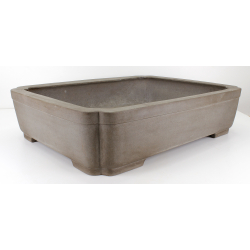 Bonsai pot JTA8148 SEIZAN MAKOTO view 2