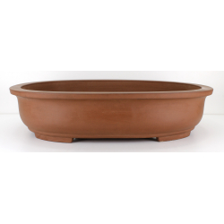 Bonsai pot JTA8146 MORISHITA