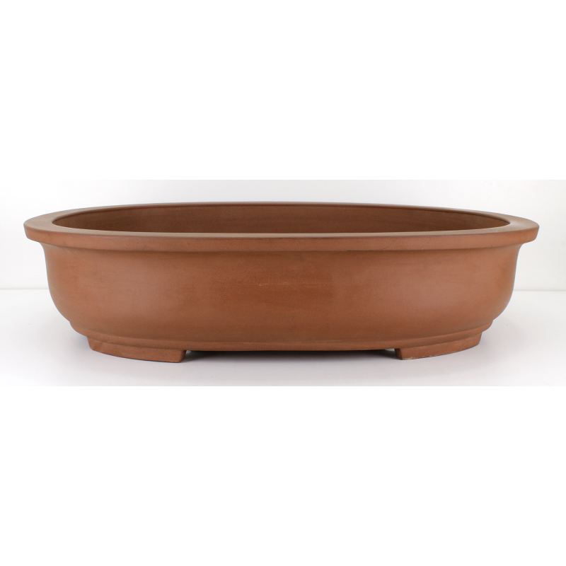 Bonsai pot JTA8146 MORISHITA