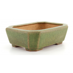 Bonsai pot JTA8288 HATTORI view 2