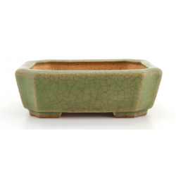 Bonsai pot JTA8288 HATTORI