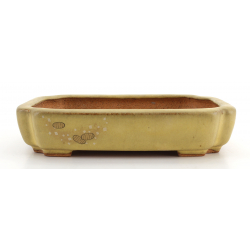 Bonsai pot JTA8289 HATTORI