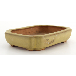 Bonsai pot JTA8289 HATTORI view 2