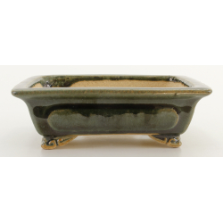 Bonsai pot JTA8318 SHIBAKATSU