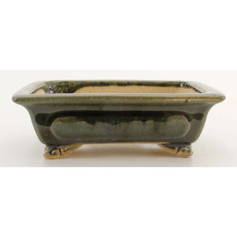 Bonsai pot JTA8318 SHIBAKATSU