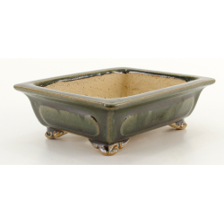 Bonsai pot JTA8318 SHIBAKATSU view 2