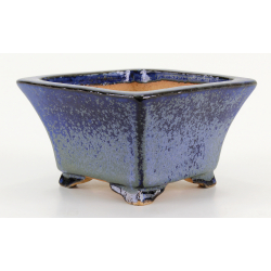 Bonsai pot JTA8321 SHIBAKATSU