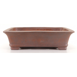 Bonsai pot JTA8364 SEIZAN REIHOU