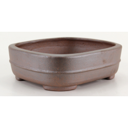 Bonsai pot JTA8365 SEIZAN REIHOU view 2