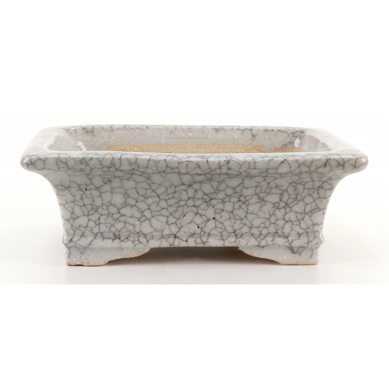 Bonsai pot JTA8367 SHIBAKATSU