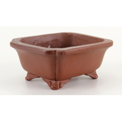 Bonsai pot JTA8360 SHIBAKATSU view 2