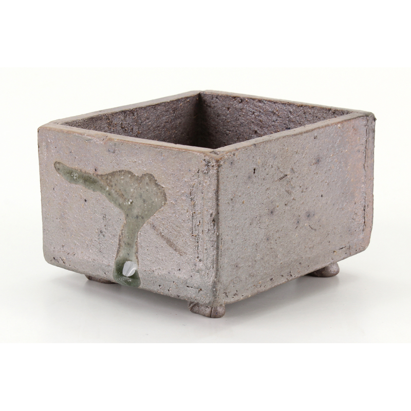 Bonsai pot JTA8391 SHIBAKATSU