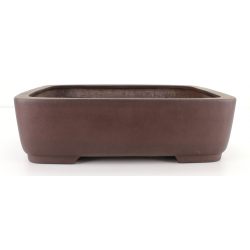 Bonsai pot JTA8203 YAMAAKI TOSHIO