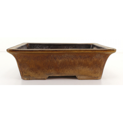 Bonsai pot JTA8129 YOSHIMURA SHUUHOU