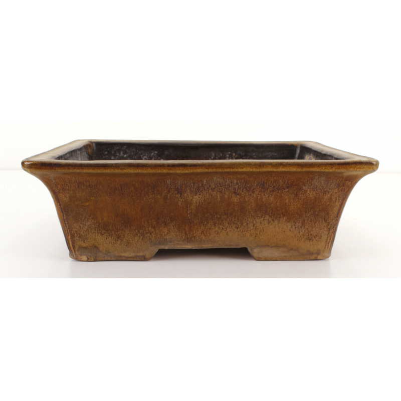 Bonsai pot JTA8129 YOSHIMURA SHUUHOU