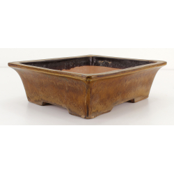 Bonsai pot JTA8129 YOSHIMURA SHUUHOU view 2