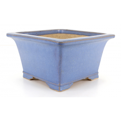 Bonsai pot JTA8131 TERAHATA MAZAN