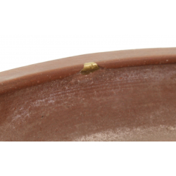 Bonsai pot JTA8125 IZUMI-YA SHOUKOU view 4