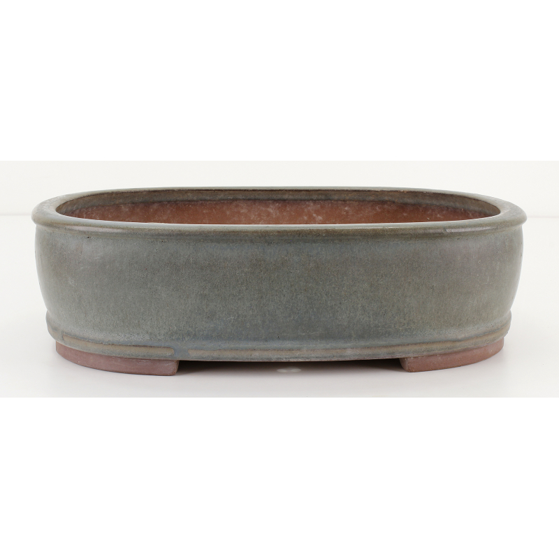 Bonsai pot JTA8124 SHIZAN