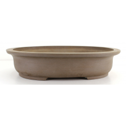 Bonsai pot JTA8111 MORISHITA