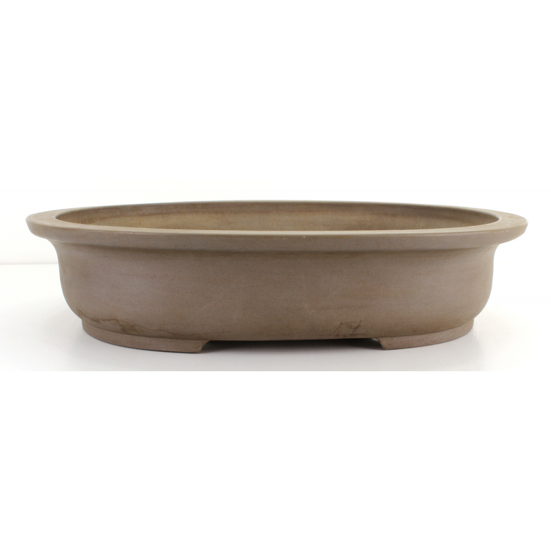 Bonsai pot JTA8111 MORISHITA