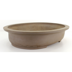 Bonsai pot JTA8111 MORISHITA view 2