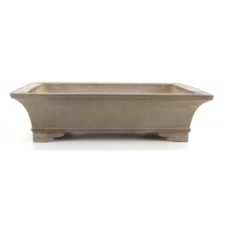 Bonsai pot JTA8115 SEIZAN MAKOTO