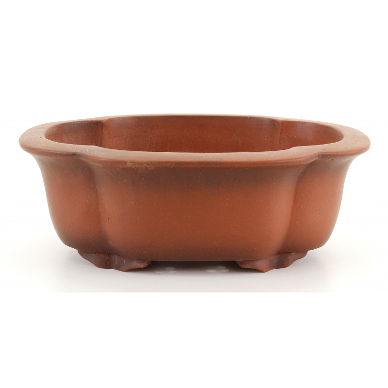 Bonsai pot CCH658 ZHANG