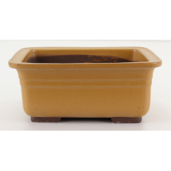 Bonsai pot B30-15A HOSEN