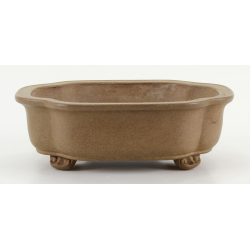 Bonsai pot VINTAGE CHINESE 710 TOUINKEN