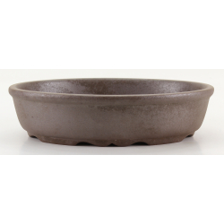 Bonsai pot CCH653 SHIWAN XENJI view 3