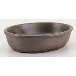 Bonsai pot CCH653 SHIWAN XENJI view 4