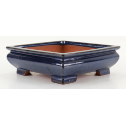 Bonsai pot CCH654 SHIWAN XENJI